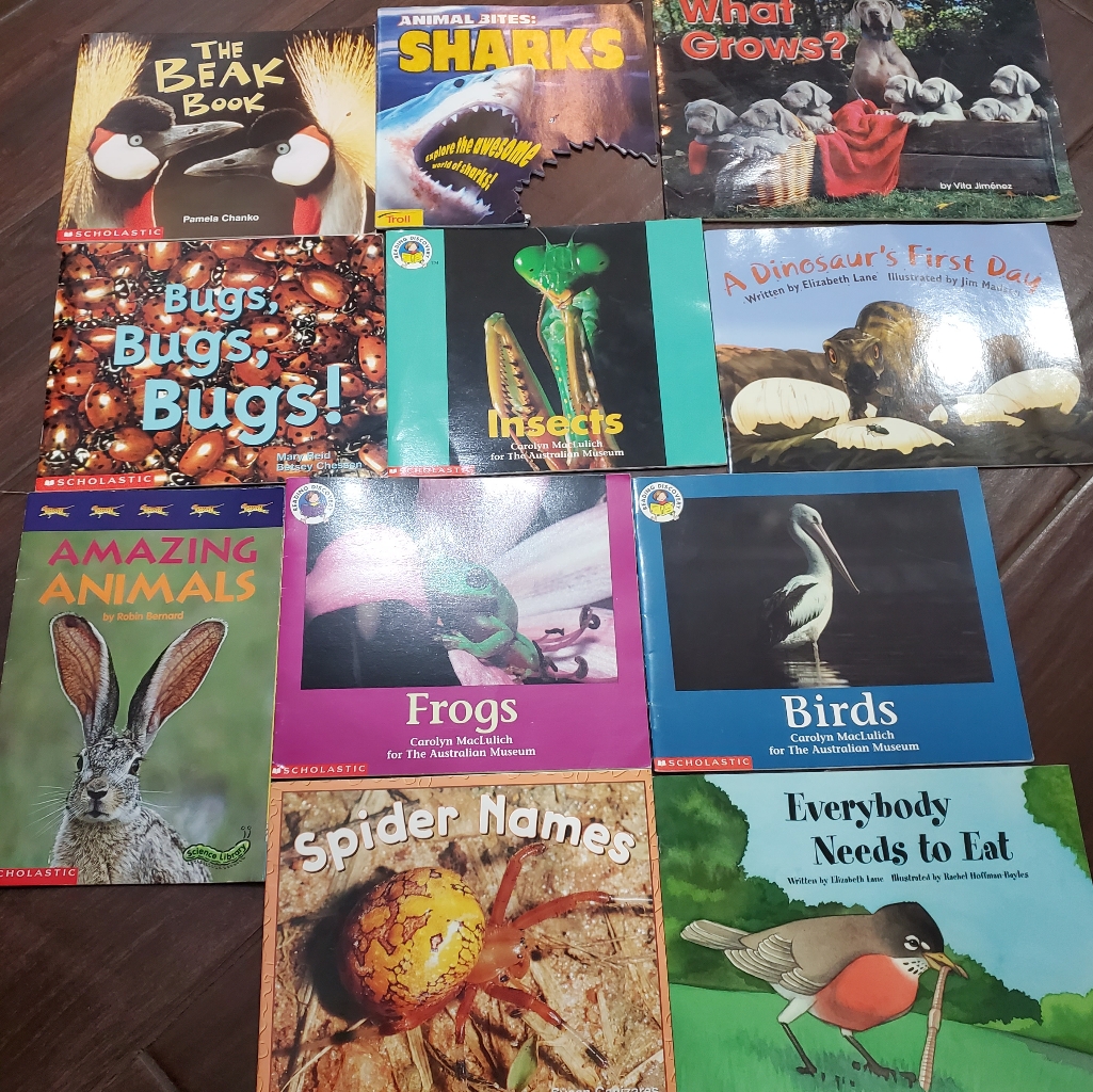 Nature Animals Books Bundle Of 11 , Sharks, The Beak Books, Spiders, Bug